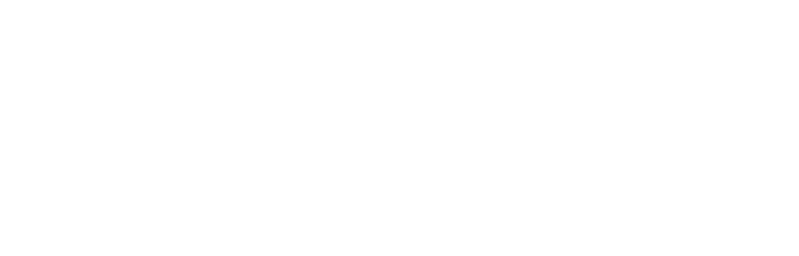 <span>P</span>IONEER <span>P</span>ALE